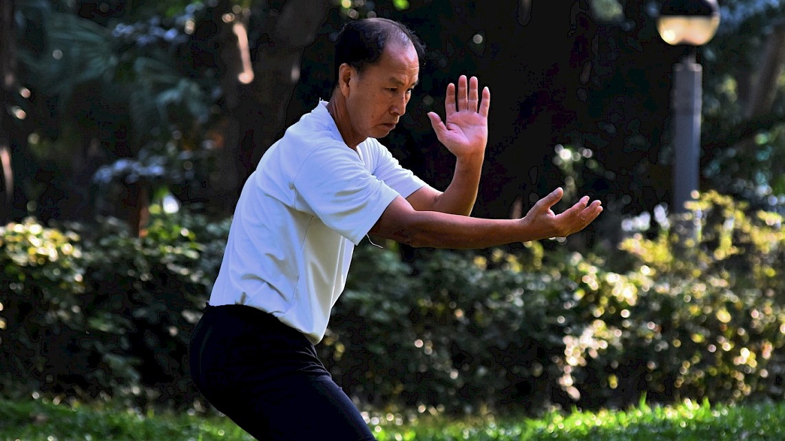 Shaolin Kung Fu image
